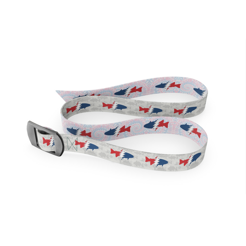 Guide Belt